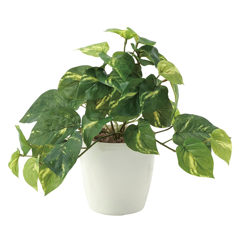 アートクリエーション 光の楽園 フェイクグリーン フレッシュポトス S 642A35 1個(ご注文単位1個)【直送品】