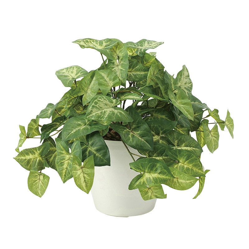 アートクリエーション 光の楽園 フェイクグリーン フレッシュカラージューム 643A50 1個(ご注文単位1個)【直送品】