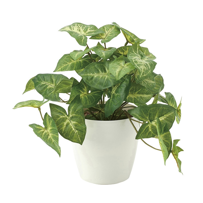 アートクリエーション 光の楽園 フェイクグリーン フレッシュカラージューム S 644A35 1個(ご注文単位1個)【直送品】