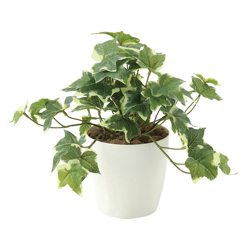 アートクリエーション 光の楽園 フェイクグリーン フレッシュ斑入りアイビー S 646A35 1個(ご注文単位1個)【直送品】