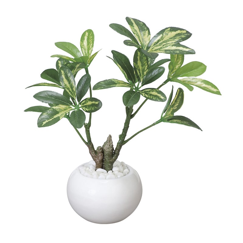 アートクリエーション 光の楽園 フェイクグリーン シェフレラポット 246A30 1個(ご注文単位1個)【直送品】