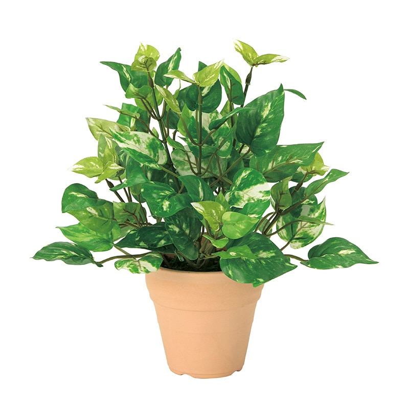 アートクリエーション 光の楽園 フェイクグリーン ポトス S 261A25 1個(ご注文単位1個)【直送品】