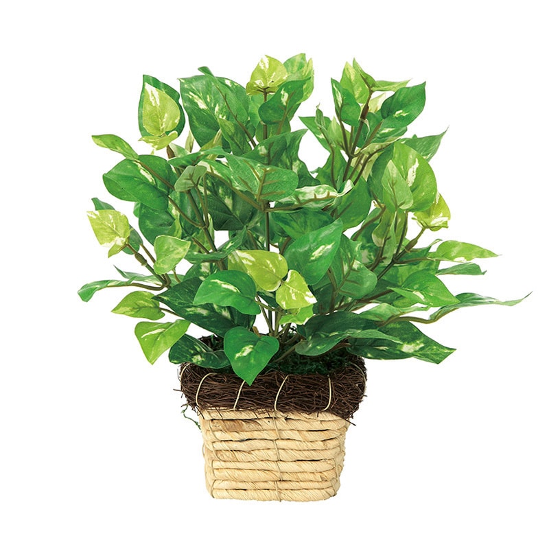 アートクリエーション 光の楽園 フェイクグリーン ミニポトス 265A20 1個(ご注文単位1個)【直送品】