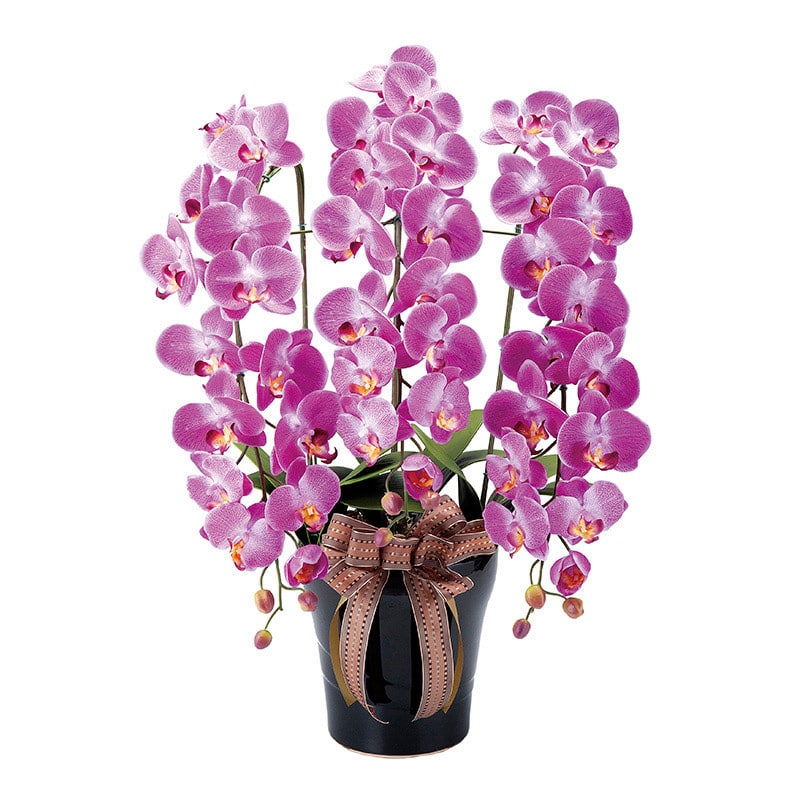 アートクリエーション 光の楽園 アートフラワー ロイヤル胡蝶蘭 L 311A200 1個(ご注文単位1個)【直送品】
