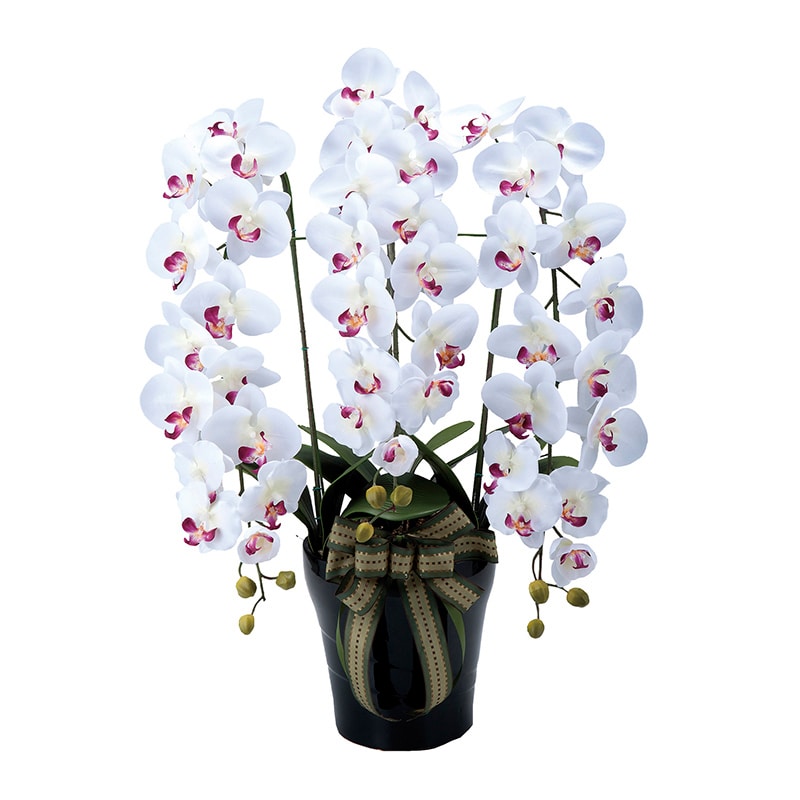 アートクリエーション 光の楽園 アートフラワー ロイヤル胡蝶蘭 W/AB 310A200 1個(ご注文単位1個)【直送品】