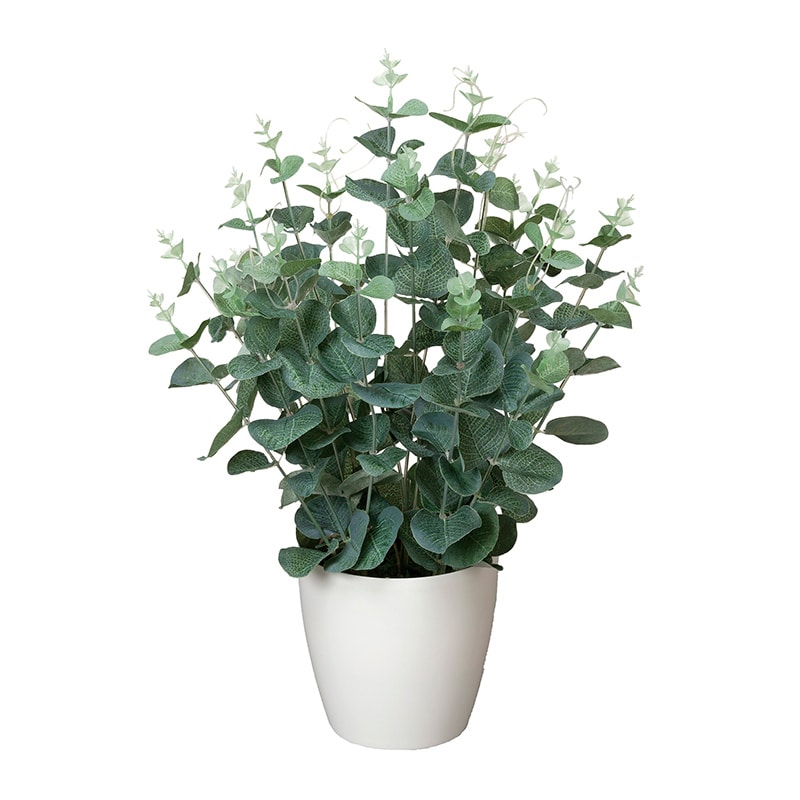 アートクリエーション 光の楽園 フェイクグリーン ユーカリ 385A50 1個(ご注文単位1個)【直送品】