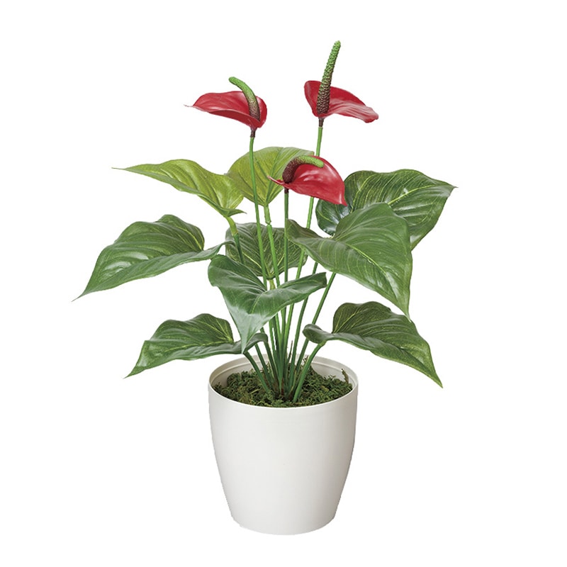 アートクリエーション 光の楽園 フェイクグリーン フレッシュアンスリューム 389A35 1本(ご注文単位1本)【直送品】