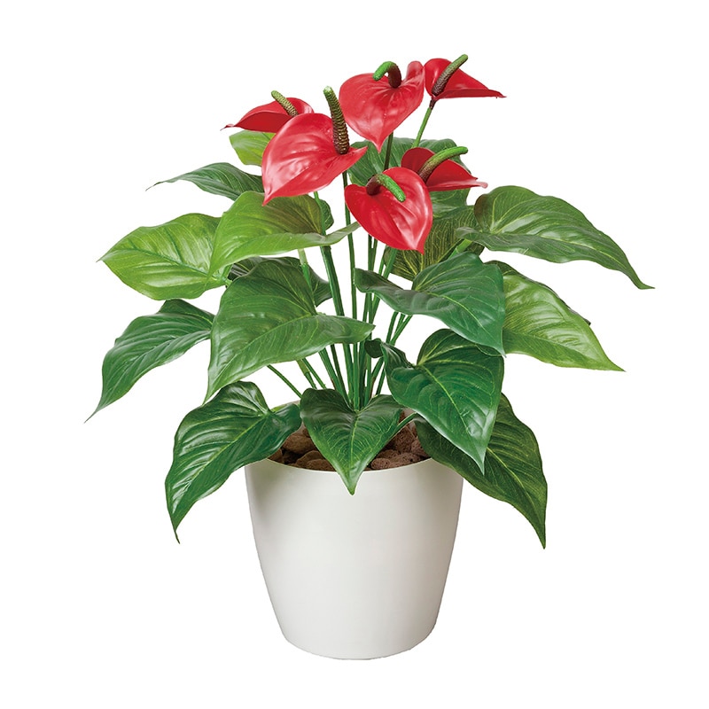 アートクリエーション 光の楽園 フェイクグリーン フレッシュアンスリューム M 390A60 1個(ご注文単位1個)【直送品】