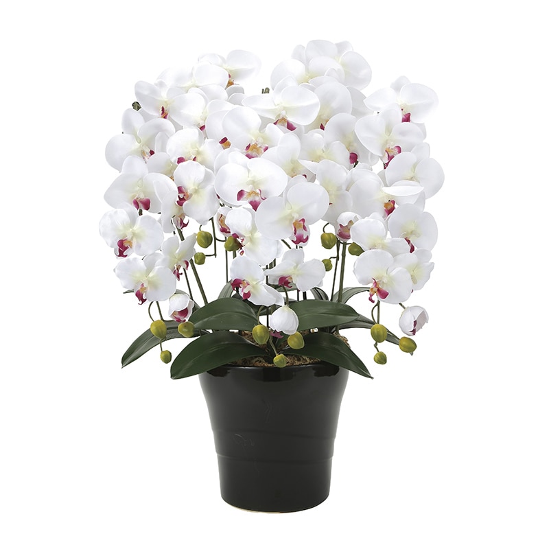 アートクリエーション 光の楽園 アートフラワー クイーン胡蝶蘭 5本立ち W／AB 916A150 1個（ご注文単位1個）【直送品】