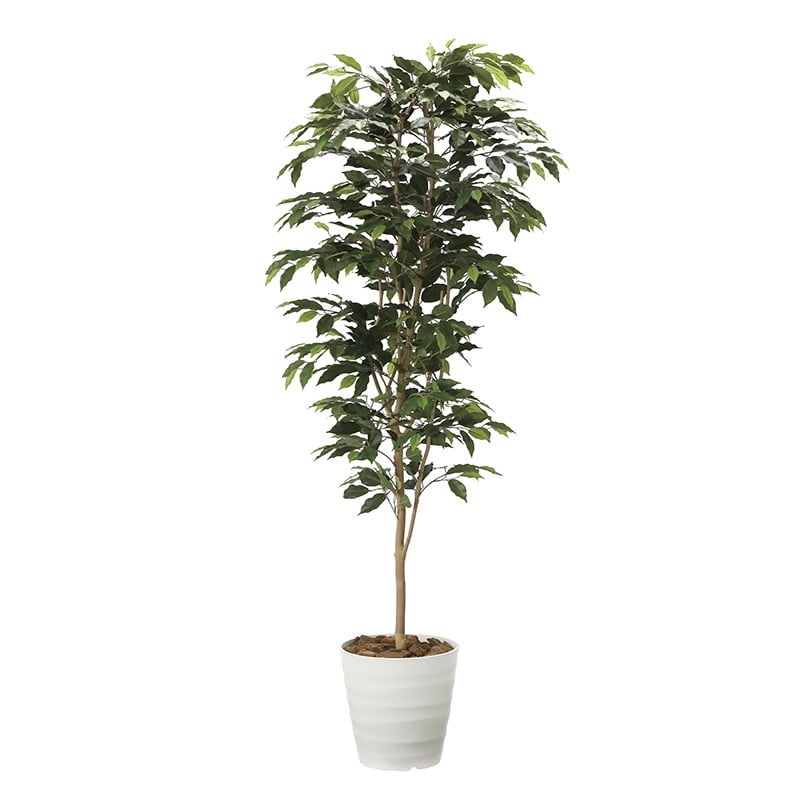 アートクリエーション 光の楽園 フェイクグリーン ベンジャミン 1.8m 2014A300 1個（ご注文単位1個）【直送品】