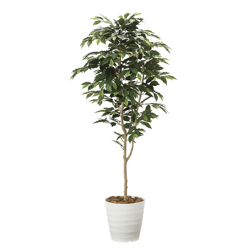 アートクリエーション 光の楽園 フェイクグリーン ベンジャミン 1.6m 2015A250 1個（ご注文単位1個）【直送品】