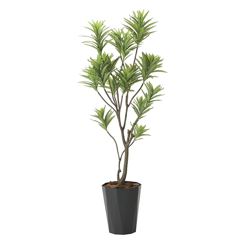 アートクリエーション 光の楽園 フェイクグリーン フレッシュドラセナ 1.8m 2016A380 1本（ご注文単位1本）【直送品】