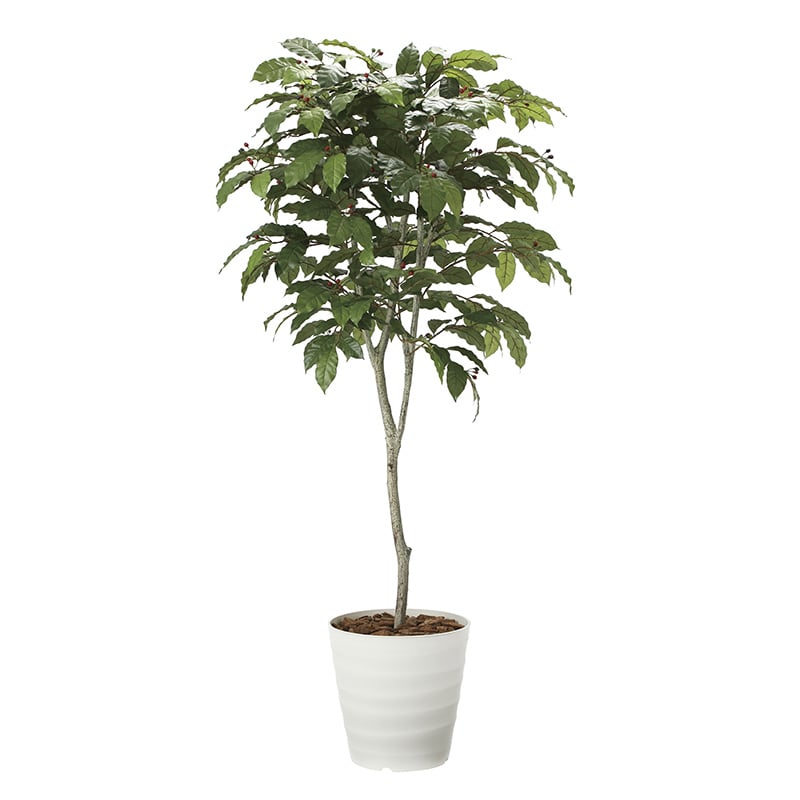 アートクリエーション 光の楽園 フェイクグリーン コーヒーツリー 1.8m 2020A580 1個（ご注文単位1個）【直送品】