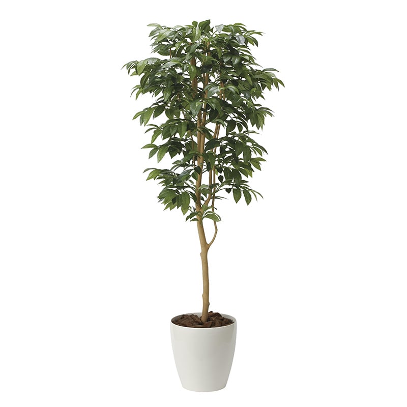 アートクリエーション 光の楽園 フェイクグリーン アルデシア 万両 1.6m 2034A300 1個（ご注文単位1個）【直送品】