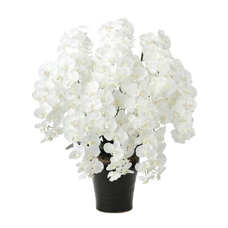 アートクリエーション 光の楽園 アートフラワー プレミアム胡蝶蘭 10本立ち W 2046A350 1個(ご注文単位1個)【直送品】