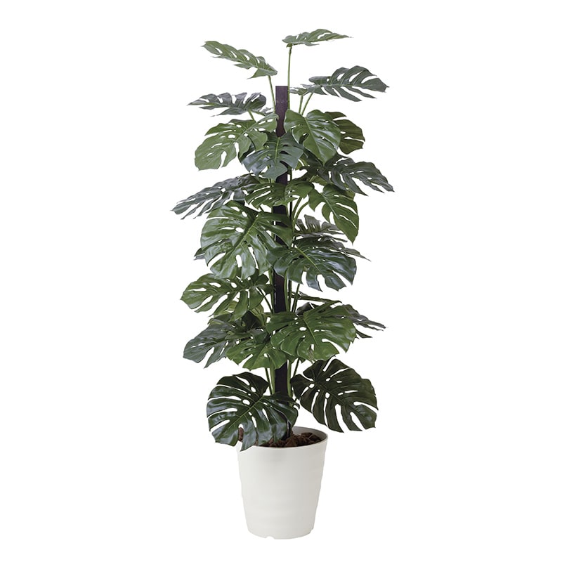 アートクリエーション 光の楽園 フェイクグリーン モンステラ 1.8m 403G450 1個（ご注文単位1個）【直送品】