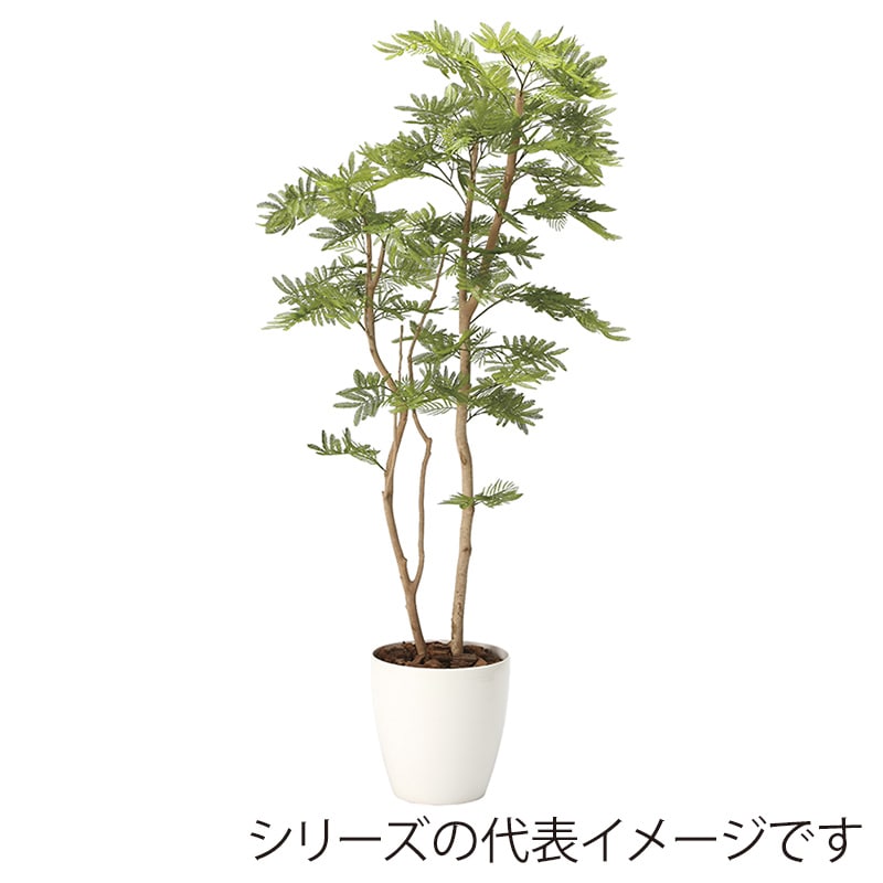 アートクリエーション 光の楽園 フェイクグリーン ねむの木 1.6m ポリ製 2105A360 1個（ご注文単位1個）【直送品】