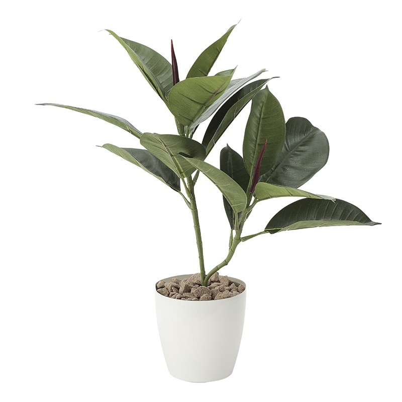 アートクリエーション 光の楽園 フェイクグリーン ゴムの木 637G50 1個（ご注文単位1個）【直送品】
