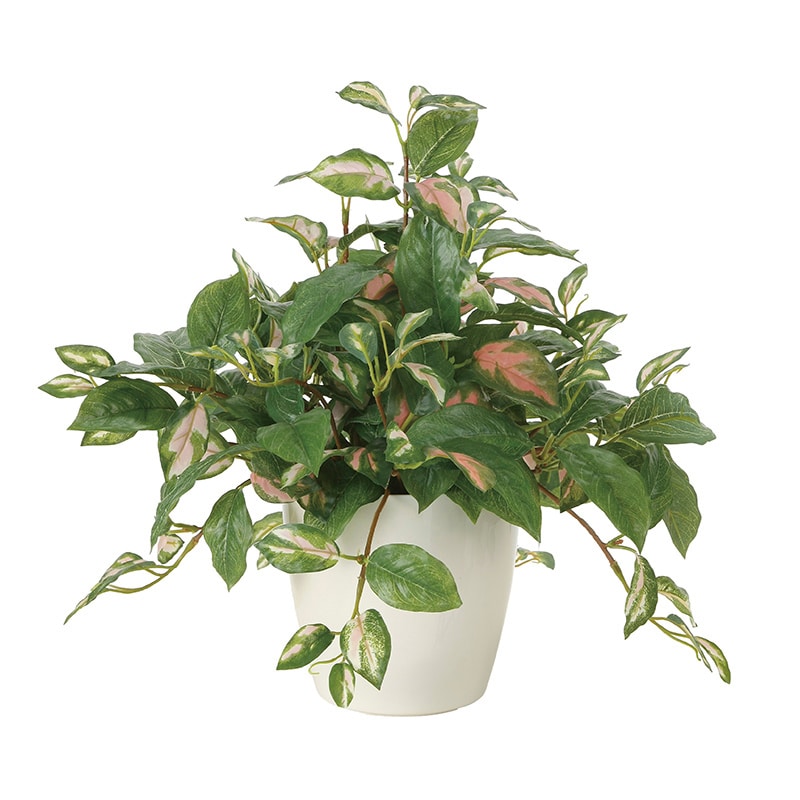 アートクリエーション 光の楽園 フェイクグリーン ツートンホヤ 2214A75 1個（ご注文単位1個）【直送品】