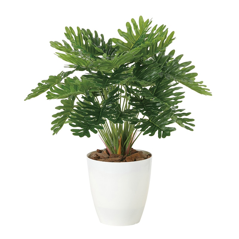 アートクリエーション 光の楽園 フェイクグリーン フレッシュクッカバラ M 2215A75 1本（ご注文単位1本）【直送品】