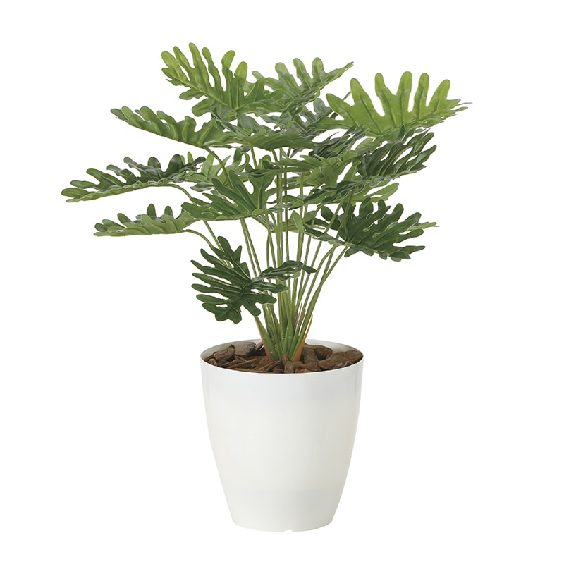 アートクリエーション 光の楽園 フェイクグリーン フレッシュクッカバラ 2216A50 1個（ご注文単位1個）【直送品】