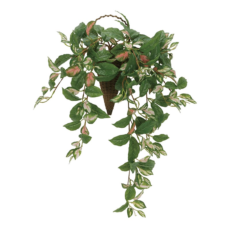 アートクリエーション 光の楽園 フェイクグリーン 壁掛けツートンホヤ 2218A90 1個（ご注文単位1個）【直送品】