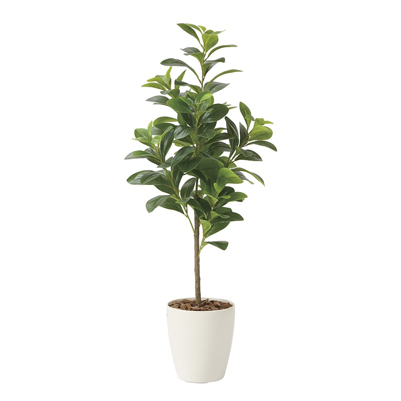 アートクリエーション 光の楽園 フェイクグリーン フレッシュマネーツリー 90cm 2224A120 1個（ご注文単位1個）【直送品】