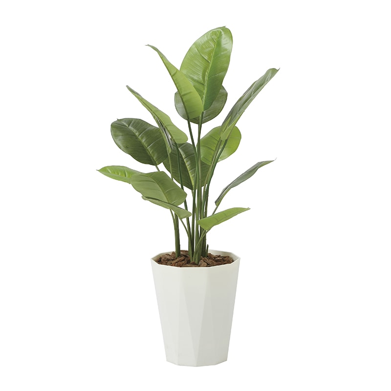 アートクリエーション 光の楽園 フェイクグリーン フレッシュスキンダプサス 1.0m 2240A160 1個（ご注文単位1個）【直送品】