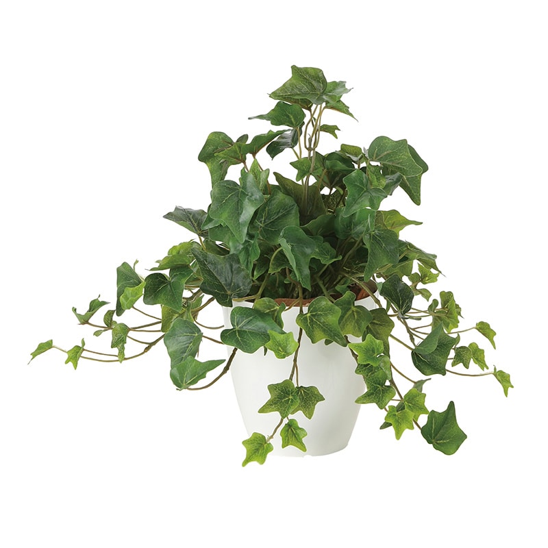 アートクリエーション 光の楽園 フェイクグリーン フレッシュアイビー 2251A50 1個（ご注文単位1個）【直送品】