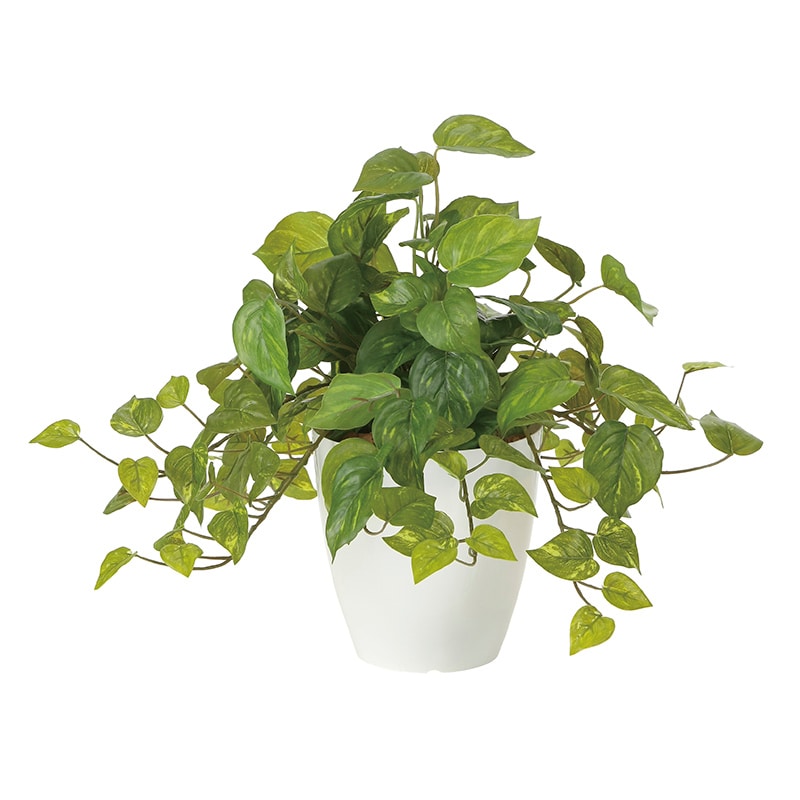 アートクリエーション 光の楽園 フェイクグリーン フレッシュポトス 2252A50 1個（ご注文単位1個）【直送品】