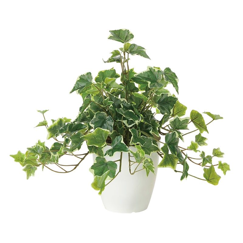 アートクリエーション 光の楽園 フェイクグリーン フレッシュ斑入りアイビー 2253A50 1個（ご注文単位1個）【直送品】