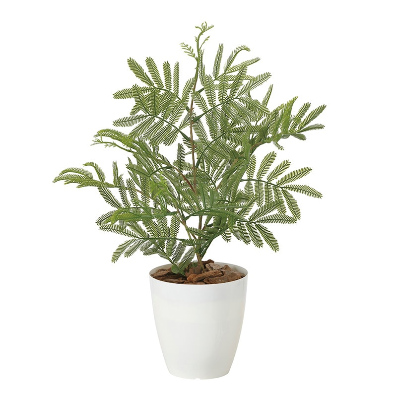 アートクリエーション 光の楽園 フェイクグリーン ねむの木 ポリ製 2254A50 1本（ご注文単位1本）【直送品】