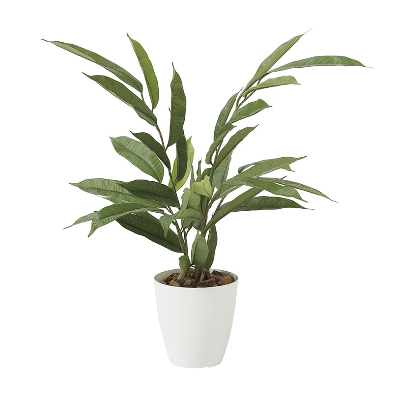 アートクリエーション 光の楽園 フェイクグリーン アムステルダムキング 55cm 2256A80 1個（ご注文単位1個）【直送品】