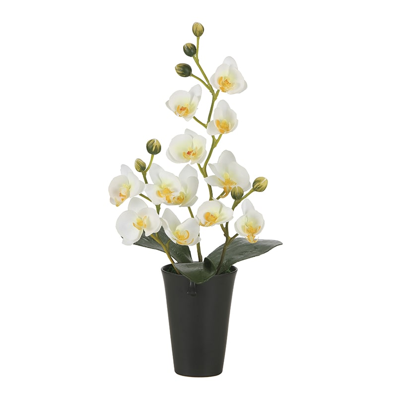 アートクリエーション 光の楽園 アートフラワー ミニコチョウラン 2260A50 1個（ご注文単位1個）【直送品】