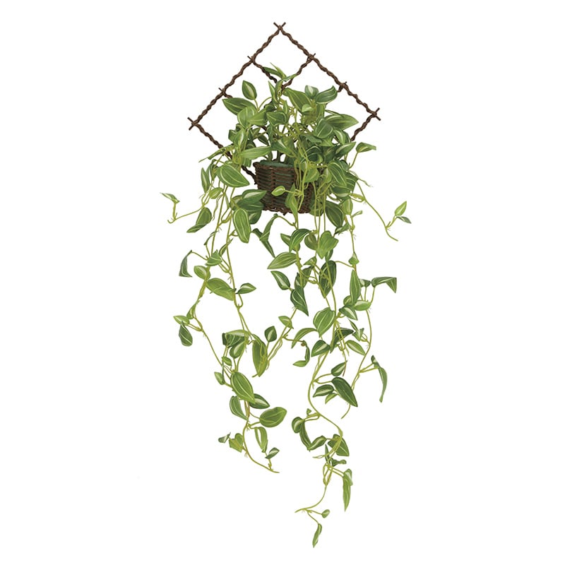 アートクリエーション 光の楽園 フェイクグリーン 壁掛けトラディスカンティア 2272A60 1個（ご注文単位1個）【直送品】