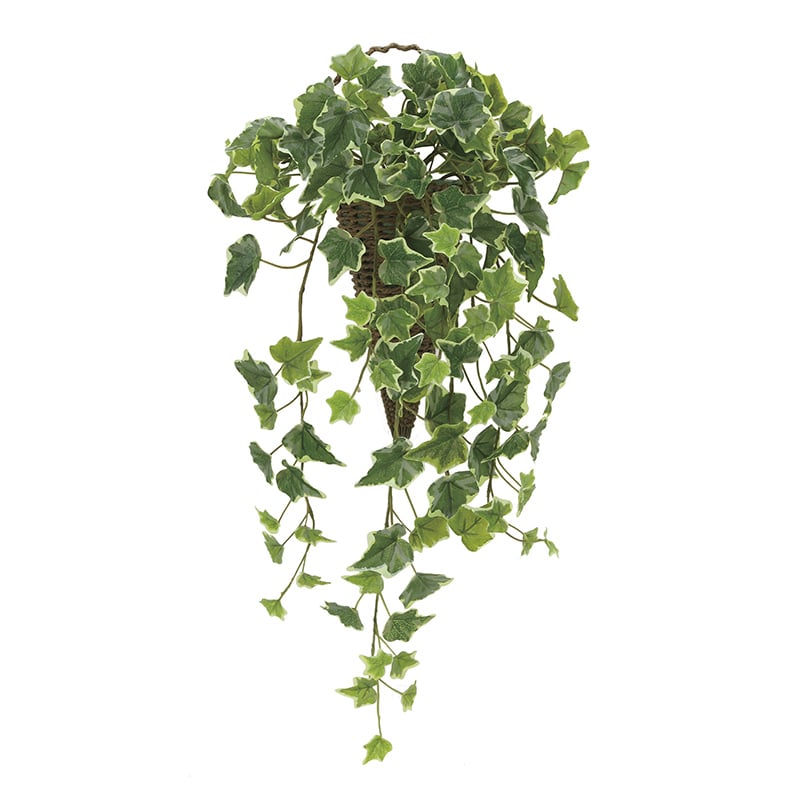 アートクリエーション 光の楽園 フェイクグリーン 壁掛け斑入りアイビー 2274A70 1個（ご注文単位1個）【直送品】