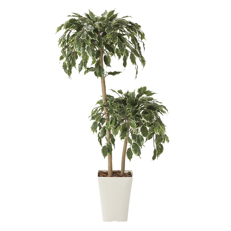 アートクリエーション 光の楽園 フェイクグリーン ゴールデンフィカスダブル 1.2m 2282A200 1個（ご注文単位1個）【直送品】