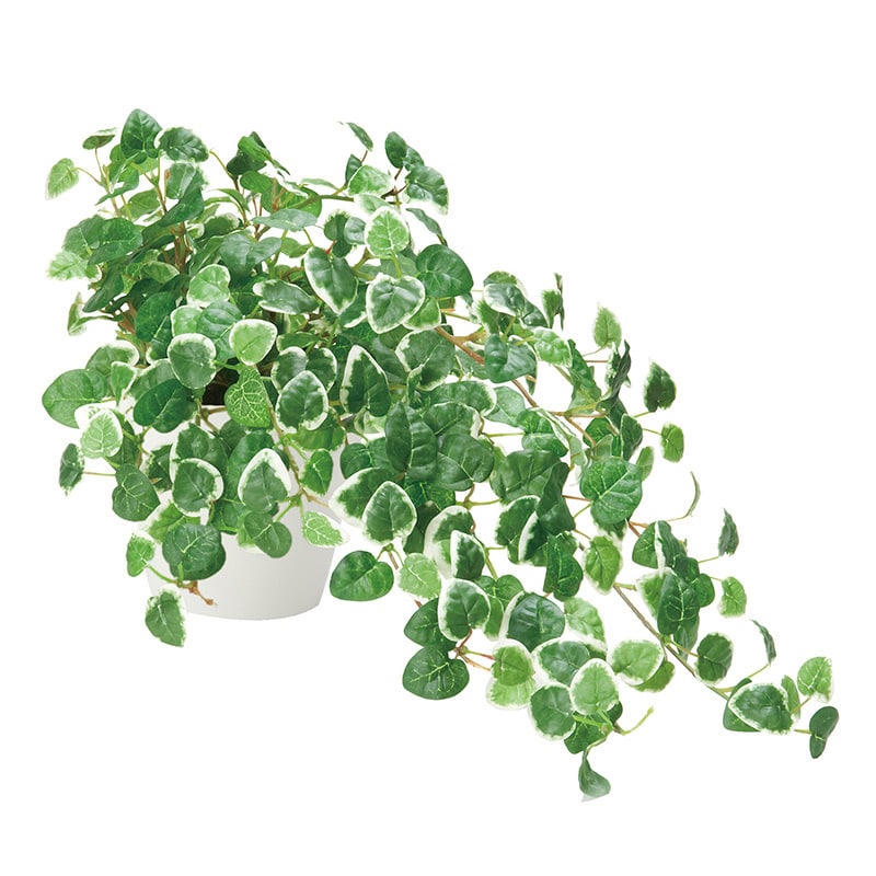 アートクリエーション 光の楽園 フェイクグリーン プミラ 557H70 1個（ご注文単位1個）【直送品】