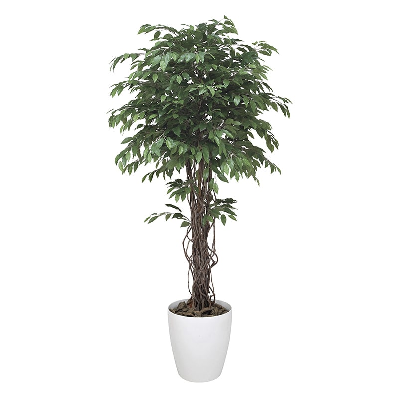 アートクリエーション 光の楽園 フェイクグリーン ベンジャミンリアナ 1.8m 152H620 1個（ご注文単位1個）【直送品】