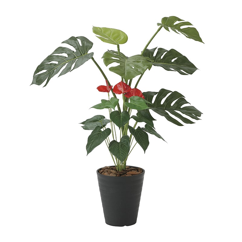 アートクリエーション 光の楽園 フェイクグリーン モンステラ&アンスリューム 95cm 203H140 1個（ご注文単位1個）【直送品】