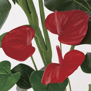 アートクリエーション 光の楽園 フェイクグリーン モンステラ&アンスリューム 95cm 203H140 1個(ご注文単位1個)【直送品】