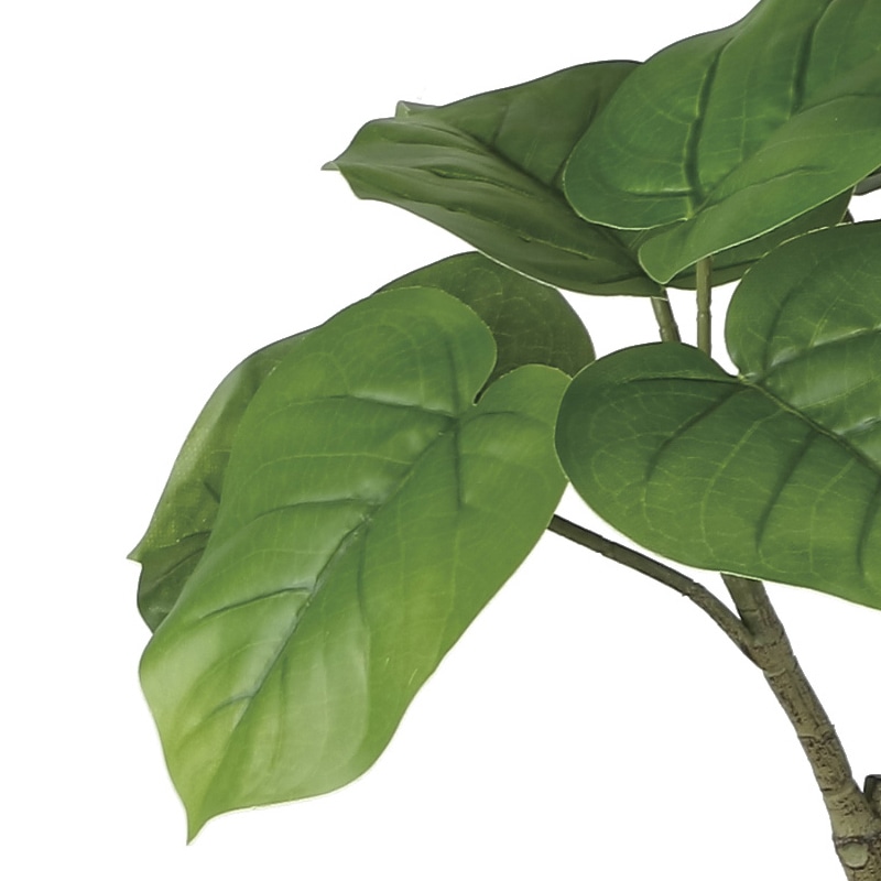 アートクリエーション 光の楽園 フェイクグリーン フレッシュウンベラータ 1.0m 2293K180 1個(ご注文単位1個)【直送品】