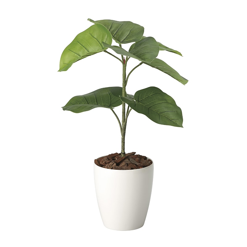 アートクリエーション 光の楽園 フェイクグリーン フレッシュウンベラータ 60cm 2292K80 1個（ご注文単位1個）【直送品】