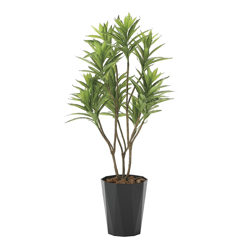 アートクリエーション 光の楽園 フェイクグリーン フレッシュドラセナ 1.2m 2018K225 1個(ご注文単位1個)【直送品】