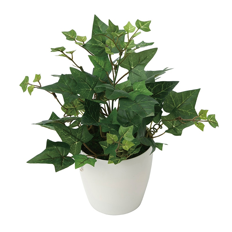 アートクリエーション 光の楽園 フェイクグリーン アイビー 2038K35 1個(ご注文単位1個)【直送品】