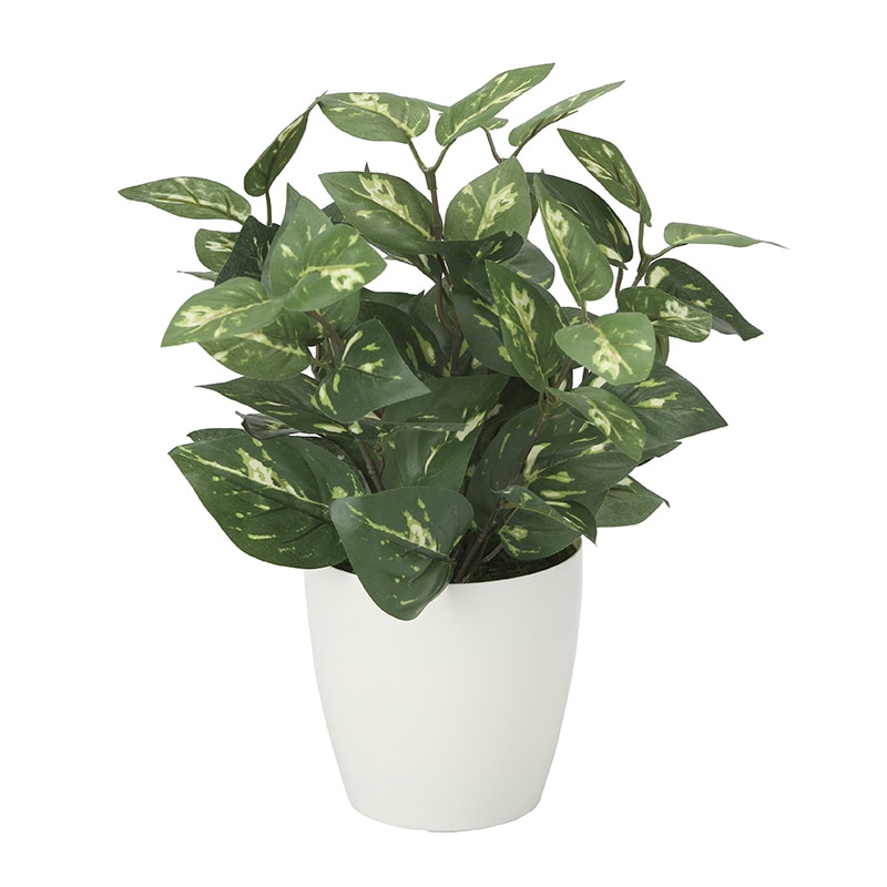 アートクリエーション 光の楽園 フェイクグリーン ポトス M 2103K35 1個(ご注文単位1個)【直送品】