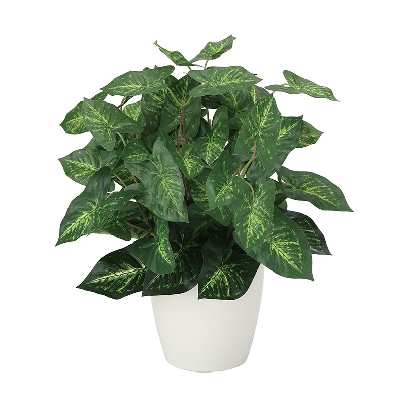 アートクリエーション 光の楽園 フェイクグリーン カラジューム M 2104K35 1個(ご注文単位1個)【直送品】