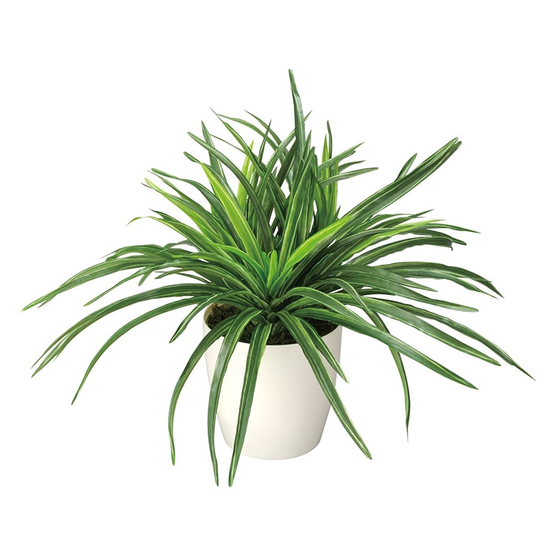 アートクリエーション 光の楽園 フェイクグリーン ドラセナ 245K45 1個(ご注文単位1個)【直送品】
