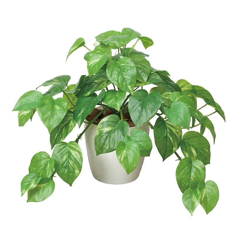 アートクリエーション 光の楽園 フェイクグリーン フレッシュポトス M 384K55 1個(ご注文単位1個)【直送品】