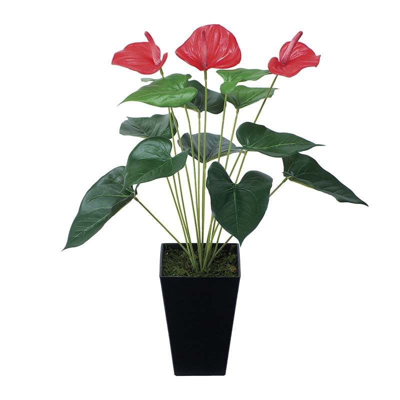 アートクリエーション 光の楽園 フェイクグリーン アンスリューム 437K45 1個(ご注文単位1個)【直送品】